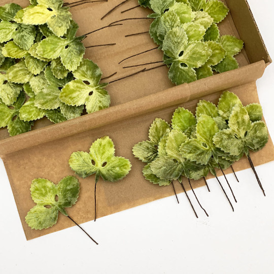 Set of 12 Velvet Strawberry Leaves ~ ARTIST GREEN SHADED