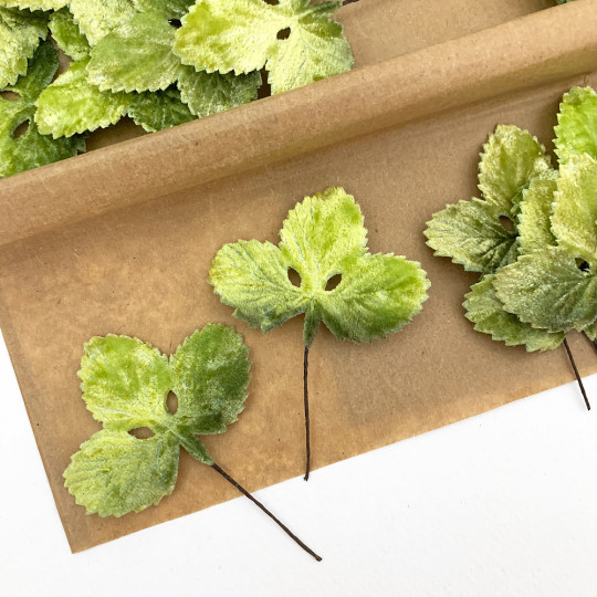 Set of 12 Velvet Strawberry Leaves ~ ARTIST GREEN SHADED