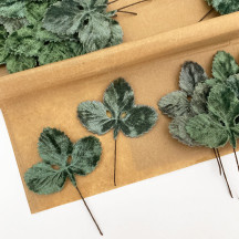 Set of 12 Velvet Strawberry Leaves ~ SAGE GREEN