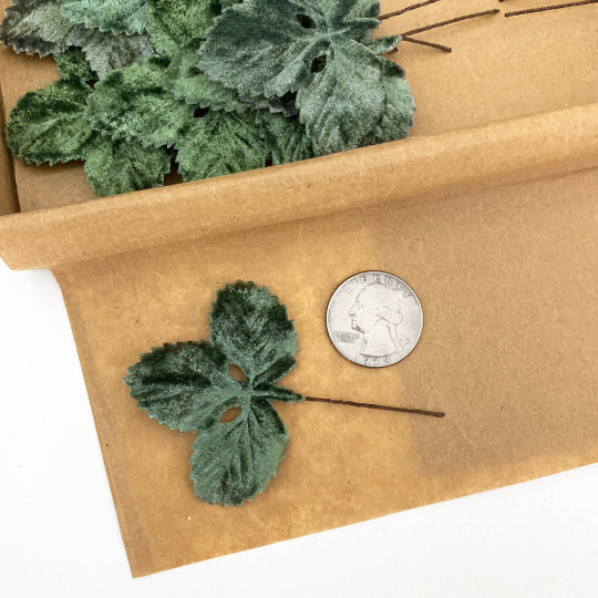Set of 12 Velvet Strawberry Leaves ~ SAGE GREEN