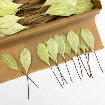 Set of 12 Small Velvet Pear Leaves ~ PALE GREEN