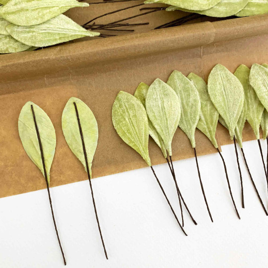 Set of 12 Small Velvet Pear Leaves ~ PALE GREEN