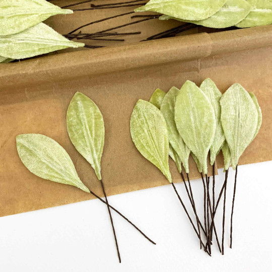 Set of 12 Small Velvet Pear Leaves ~ PALE GREEN