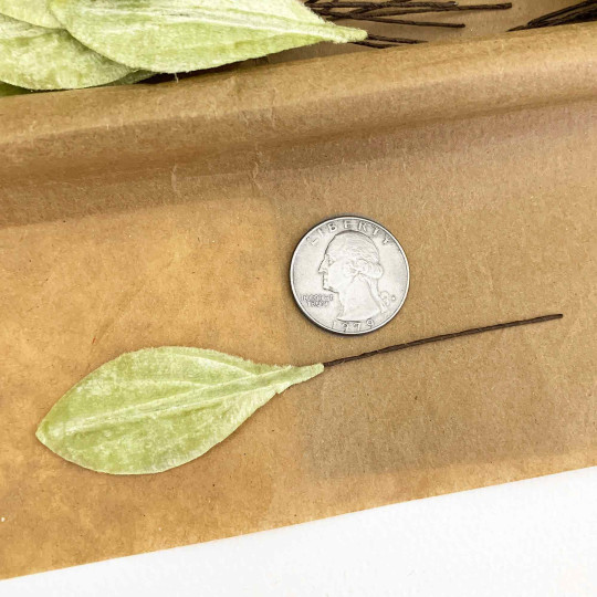 Set of 12 Small Velvet Pear Leaves ~ PALE GREEN