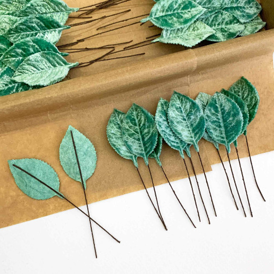 Set of 12 Velvet Rose Leaves ~ AQUA