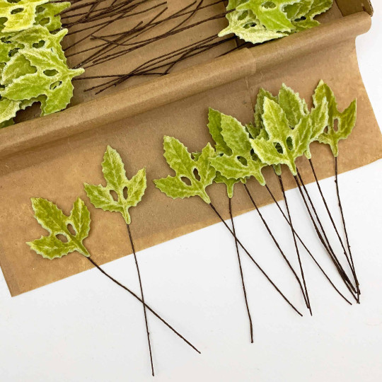 Set of 12 Velvet Holly Leaves ~ SAGE GREEN