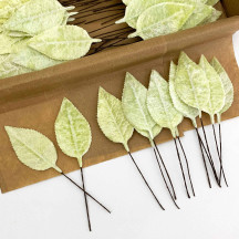 Set of 12 Velvet Rose Leaves ~ PALE GREEN