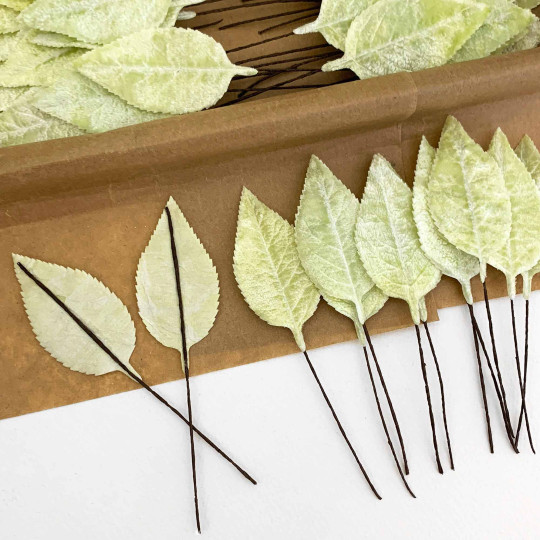 Set of 12 Velvet Rose Leaves ~ PALE GREEN
