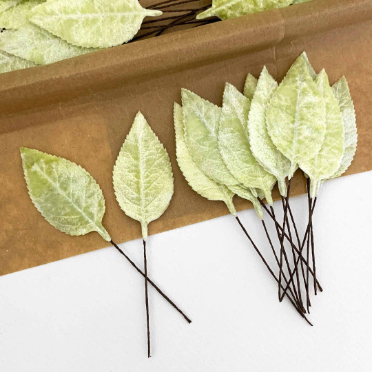 Set of 12 Velvet Rose Leaves ~ PALE GREEN