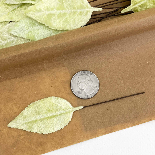 Set of 12 Velvet Rose Leaves ~ PALE GREEN