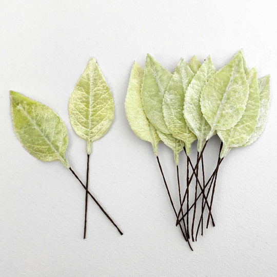 Set of 12 Velvet Rose Leaves ~ PALE GREEN