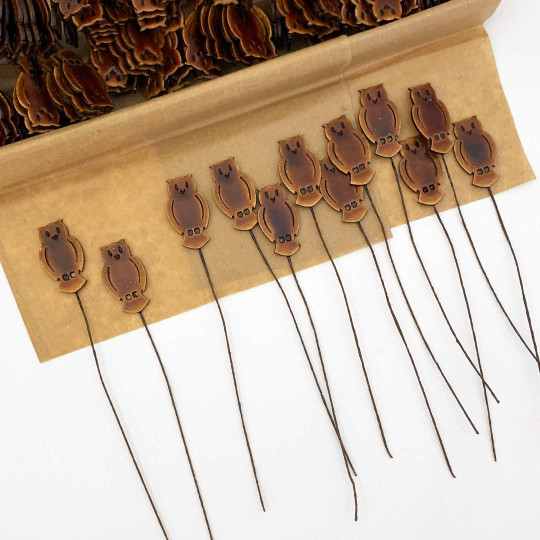 Brown Owls Lacquered Craft Picks ~ Bundle of 12 Retro-Style Picks