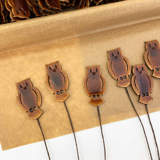 Brown Owls Lacquered Craft Picks ~ Bundle of 12 Retro-Style Picks