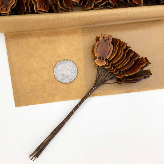Brown Owls Lacquered Craft Picks ~ Bundle of 12 Retro-Style Picks