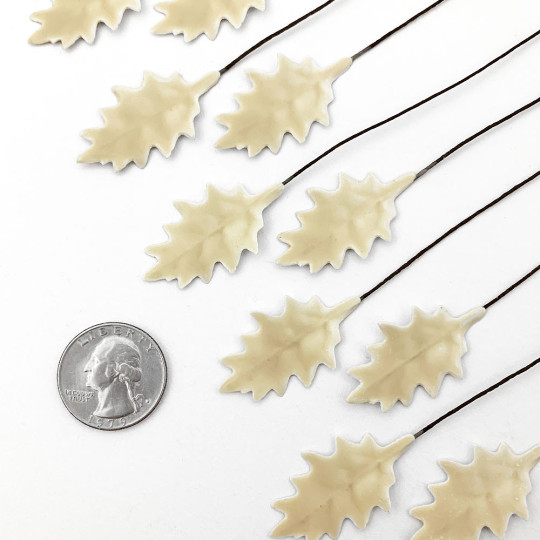 Cream Lacquered Petite Holly Leaves for Christmas Crafts ~ Bundle of 12 Old Fashioned Craft Leaves