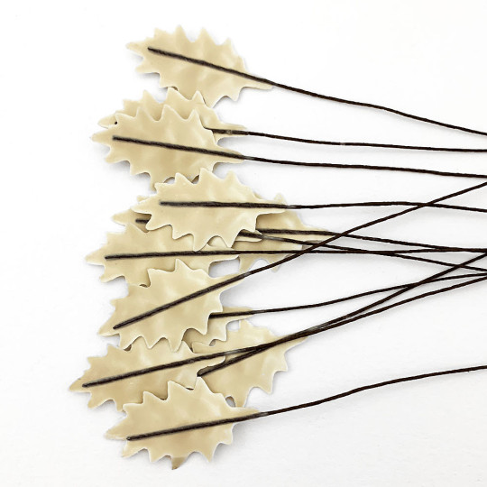 Cream Lacquered Petite Holly Leaves for Christmas Crafts ~ Bundle of 12 Old Fashioned Craft Leaves