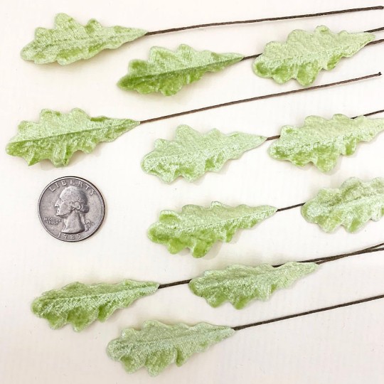 Set of 12 Petite Velvet Oak Leaves ~ PALE GREEN