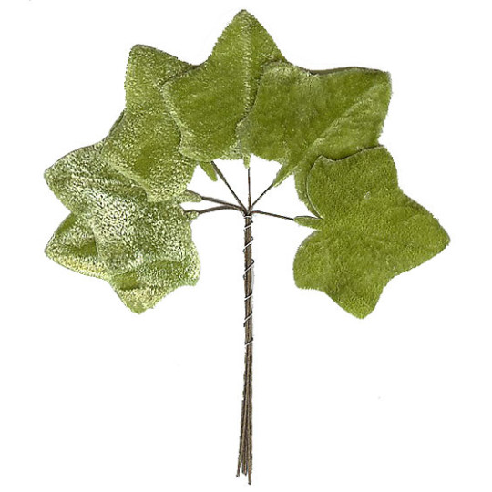 Set of 6 Light Green Velvet Ivy Leaves ~ Czech Repub.