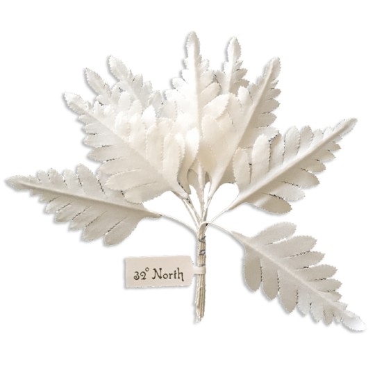 Set of 10 Small White Fabric Fern Leaves ~ Czech Repub.