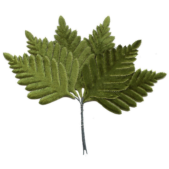 Set of 6 Small Green Velvet Fern Leaves ~ Czech Repub.