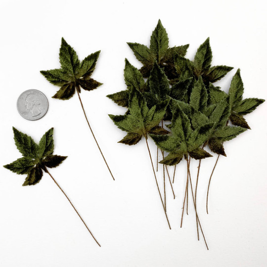 Set of 12 Sweet Gum Leaves ~ DARK GREEN OMBRE