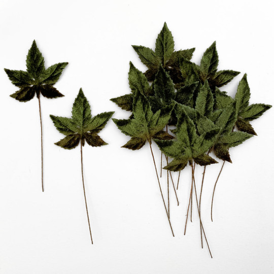 Set of 12 Sweet Gum Leaves ~ DARK GREEN OMBRE