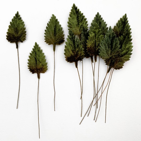 Set of 12 Birch Leaves ~ DARK GREEN OMBRE