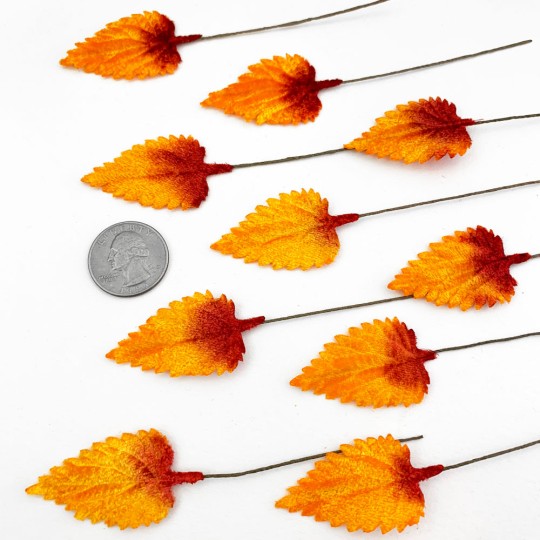 Set of 12 Birch Leaves ~ AUTUMN OMBRE