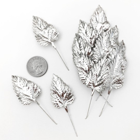 Set of 12 Foil Birch Leaves ~ SILVER