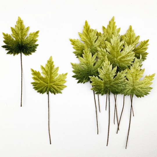 Set of 12 Maple Leaves ~ GREEN OMBRE