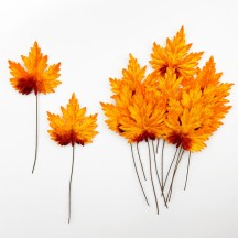 Set of 12 Maple Leaves ~ AUTUMN OMBRE