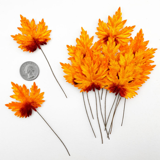 Set of 12 Maple Leaves ~ AUTUMN OMBRE