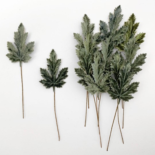 Set of 12 Elongated Maple Leaves ~ SAGE GREEN