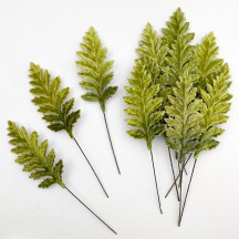 Set of 12 Velvet Fern Leaves ~ GREEN OMBRE