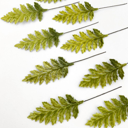 Set of 12 Velvet Fern Leaves ~ GREEN OMBRE