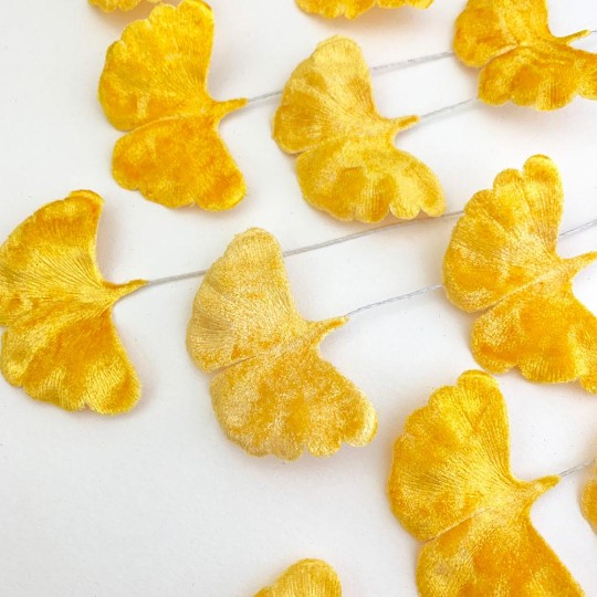 Golden Yellow Velvet Ginkgo Leaves ~ Set of 12