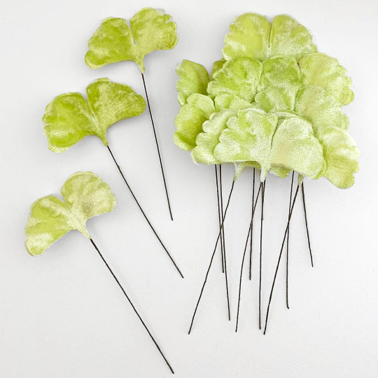 Pale Green Velvet Ginkgo Leaves ~ Set of 12