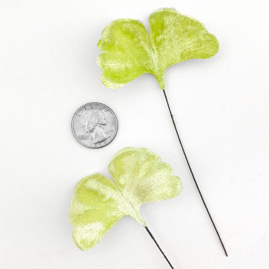 Pale Green Velvet Ginkgo Leaves ~ Set of 12