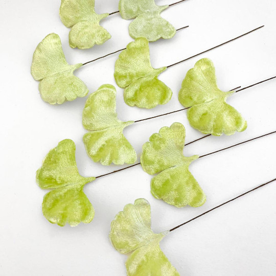 Pale Green Velvet Ginkgo Leaves ~ Set of 12