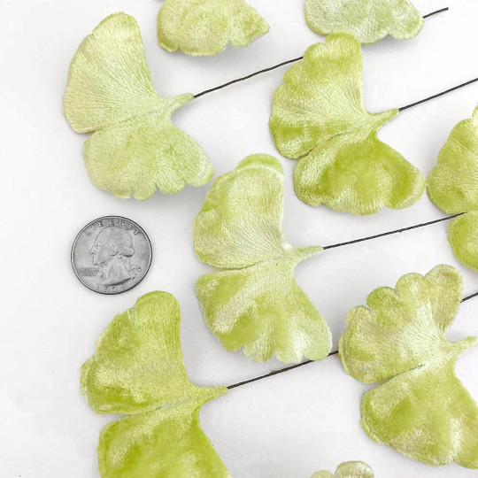 Pale Green Velvet Ginkgo Leaves ~ Set of 12