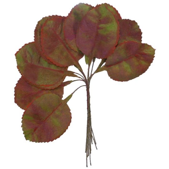 12 Green Shaded Violet Leaves ~ Vintage Germany