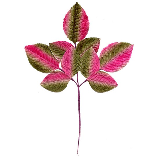 Large Spray of Pink and Green Velvet Rose Leaves ~ Vintage Japan