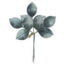 Sprig of Muted Blue Ombre Rose Leaves ~ Vintage Japan