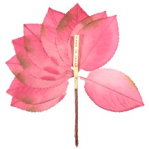 Bundle of Light Pink Silk Ombre Leaves with Brown Accents ~ Vintage Japan
