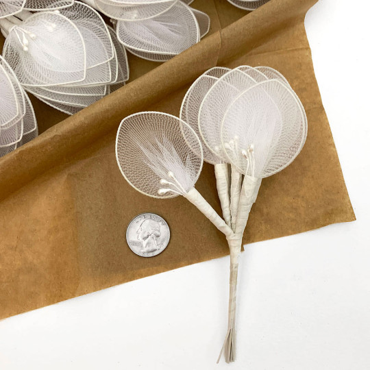 Old Fashioned Net Leaves or Fairy, Angel Wings ~ WHITE with PEPS