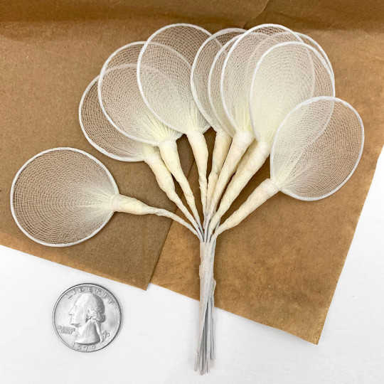 Old Fashioned Net Leaves or Fairy, Angel Wings ~ CREAM
