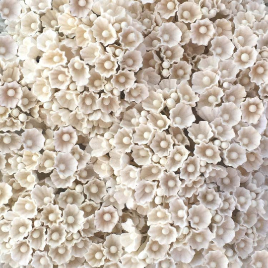 1 Bouquet of Paper Forget Me Nots in All Ivory