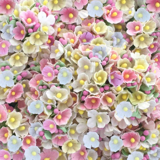 1 Bouquet of Paper Forget Me Nots in Candy Mix