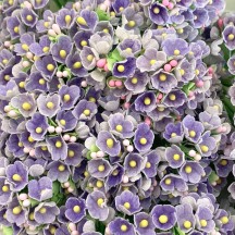 1 Bouquet of Paper Forget Me Nots in Light Purple
