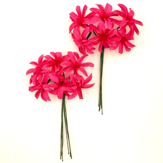 12 Fuchsia Pink Paper Lilies or Star Flowers